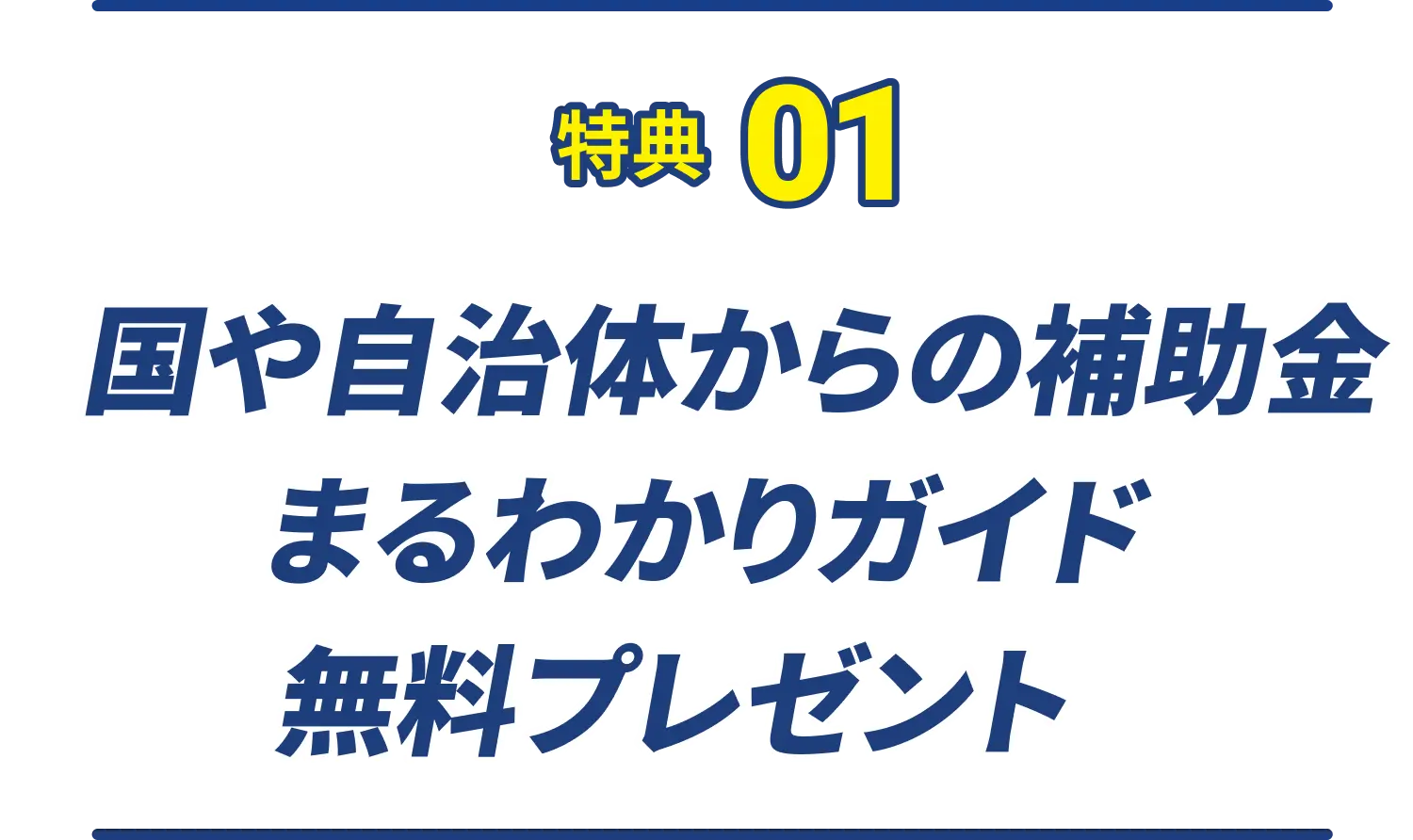 特典01 国や自治体からの補助金まるわかりガイド 無料プレゼント